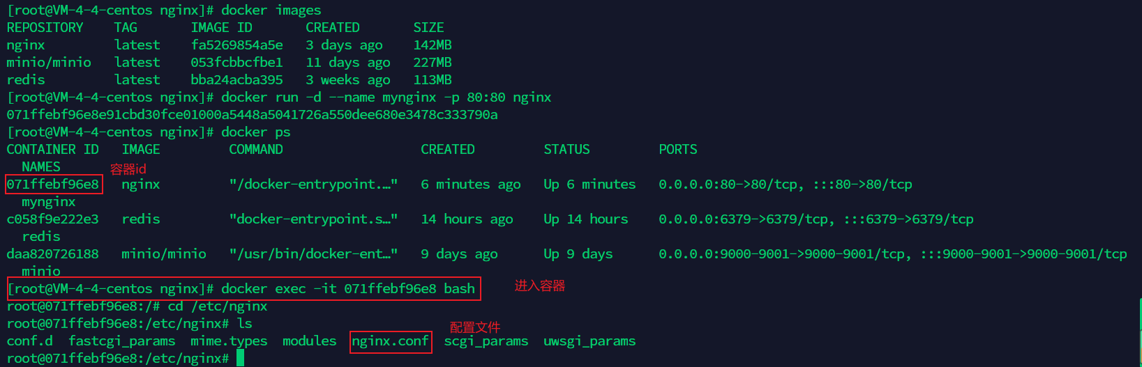 容器内的nginx.conf