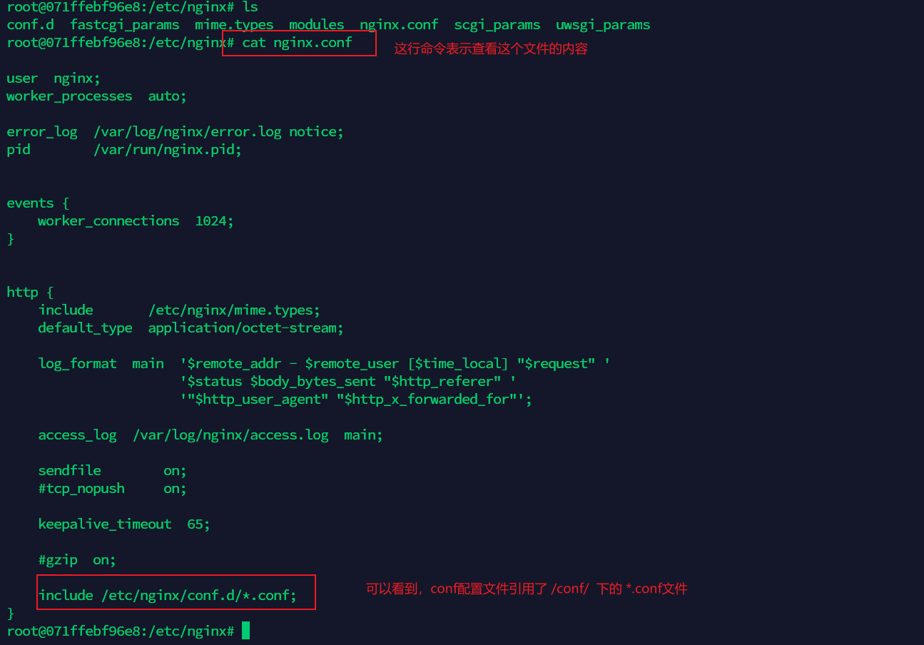 nginx.conf